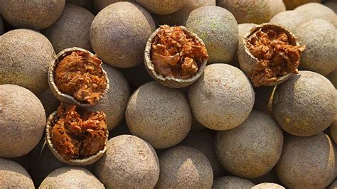 Health Benefits Of Bael: Health Benefits Of Wood Apple From Digestion ...