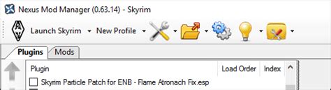 Skyrim Beautification Project - Essential Mods
