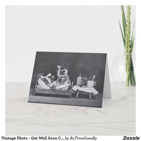 Vintage Photo - Get Well Soon Cats, Card | Zazzle | Get well soon cat ...