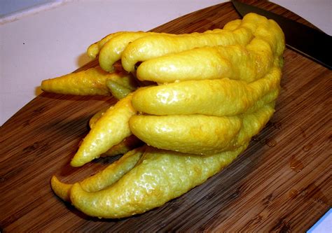 Candied Buddha's Hand Citron : 4 Steps (with Pictures) - Instructables