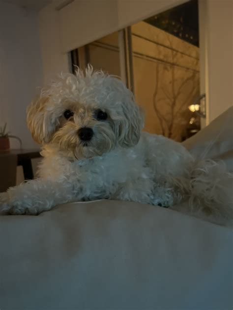 Emily Sears on Twitter: "@MichelleNW She says thank you auntie Michelle! 😘 https://t.co ...