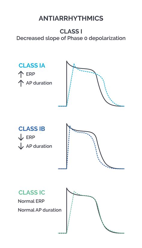 Quinidine Action Potential