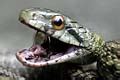 Image result for Operaciones Con Matrices Numpy Python