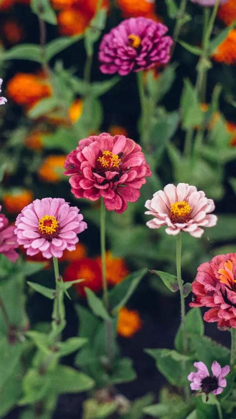 New Tax Regime 2025: What are the new income tax slabs, rates after ...