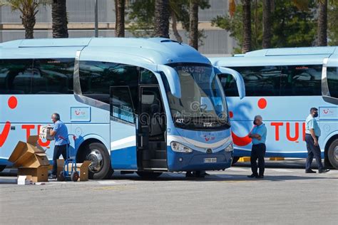 Image result for Tui Local Bus