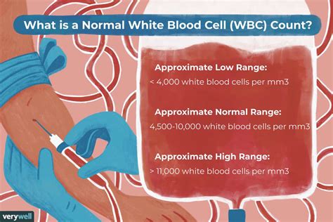 Image result for Normal Blood Count Chart