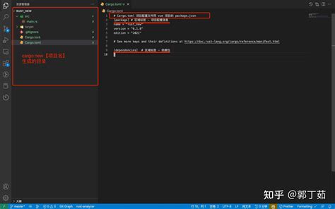 Auto Run Rust 的图像结果