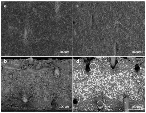 Lactose Mother Liquor Stream Valorisation Using an Effective ...