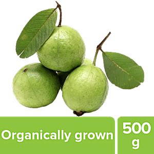 Buy Fresho Guava 1 Kg Online At Best Price of Rs 72 - bigbasket