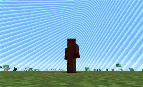 Image result for Minecraft Java World Border