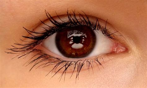 AIIMS Reports Sharp Rise in Firecracker and Carbide Gun Related Eye ...