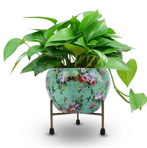 Plant Containers & Pots Online at Best Prices on Flipkart