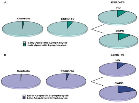 Prospective Analysis of B Lymphocyte Subtypes, before and after ...