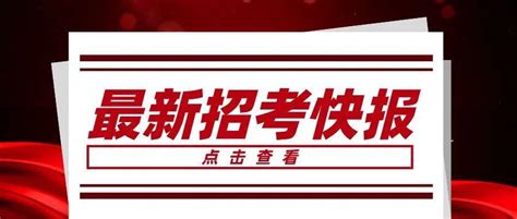 【实名编制】广西企事业单位人才引进283人丨免笔试/部分岗位大专可报丨11月11日起多地现场报名_招聘