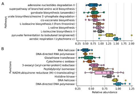 Ocular Microbiome in a Group of Clinically Healthy Horses