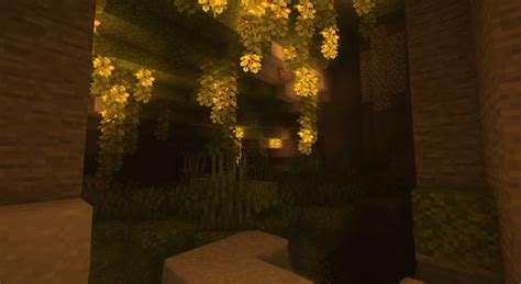 Image result for How to Install OptiFine 1.18 On Java