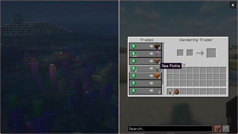Minecraft Sea Pickle Guide