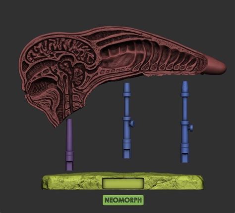 Image result for Alien Neomorph Meets David