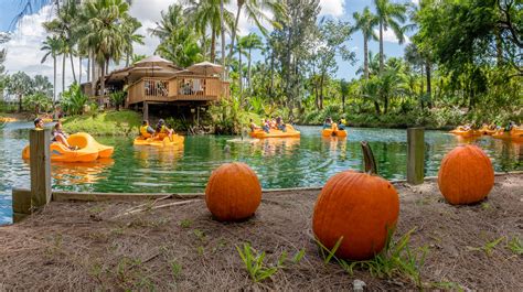 12 Fall-tastic Places To Go Pumpkin Picking In Miami & South FL