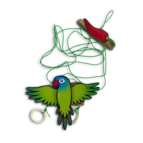 Climbing Parrot in two strings for fun and exercise – J. Dutta & Co.