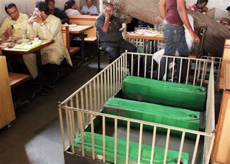 Image result for Strangest Restaurants