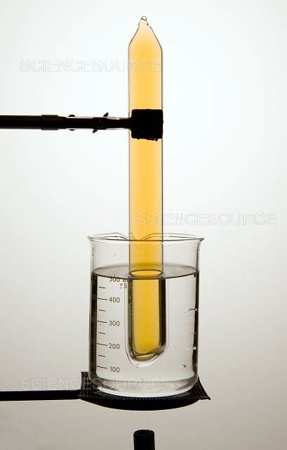 Image result for Equilibrium Temperature