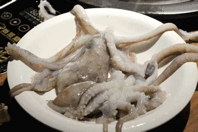 把一整只活的大章鱼放入海鲜锅！八爪鱼“罗志祥”的味道在这里就可以尝到！（重磅福利）