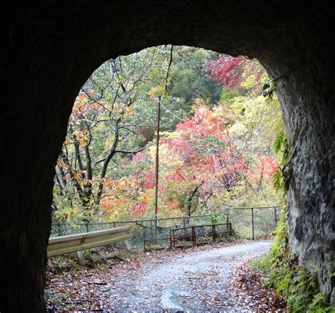 YAKUMO SHRINE (2026) All You Need to Know BEFORE You Go (with Photos ...