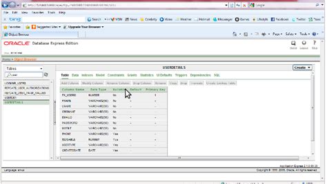 Image result for Java Insert Data
