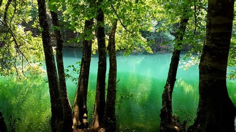 𝗧𝗛𝗘 𝟭𝟬 𝗕𝗘𝗦𝗧 Hotels in Bolu of 2025 (with Prices) - Tripadvisor