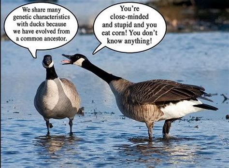 Fallacy Types 的图像结果