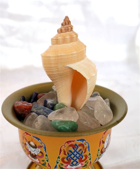 Image result for Conch Shell Soundtrack