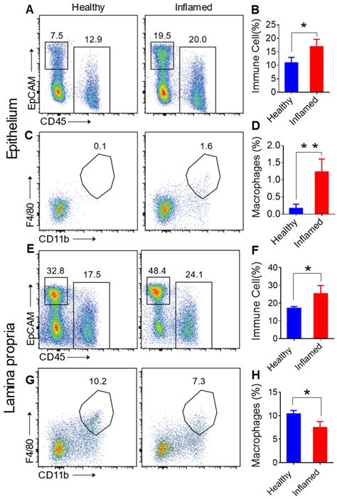 Harnessing a Safe Novel Lipid Nanoparticle: Targeted Oral Delivery to ...