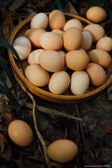 广州红壳鸡蛋零售价近6元/斤，一个月涨了8%_深圳新闻网