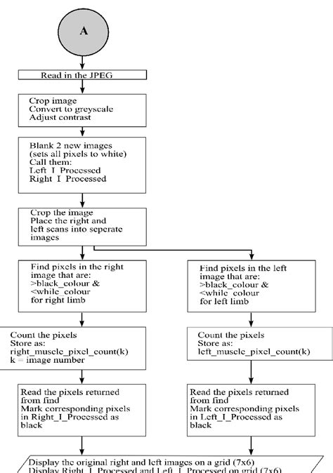 Computerized Algorithm 的图像结果