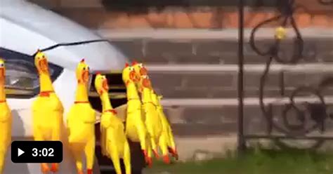 Image result for Cars Magic Tricks