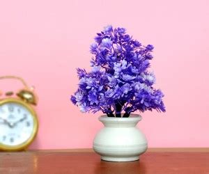 S-Biv Bonsai Wild Artificial Plant with Pot Price in India - Buy S-Biv ...