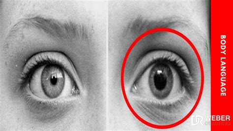 Dilated Pupils Attraction Women