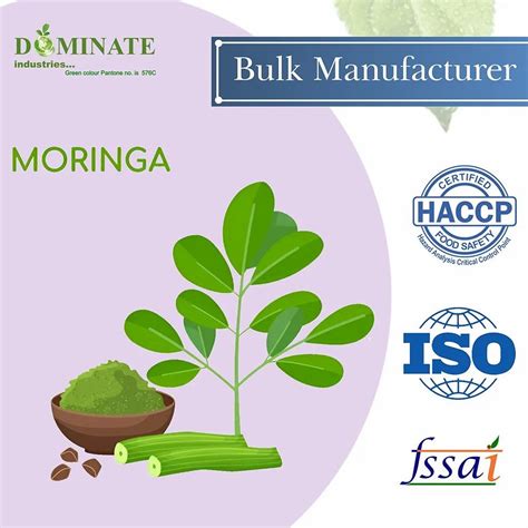Moringa Leaves Powder - Moringa Extract Powder Manufacturer from Ahmedabad