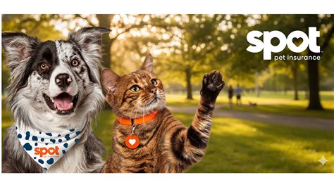 How to Cancel Spot Pet Insurance? - Aitechtonic