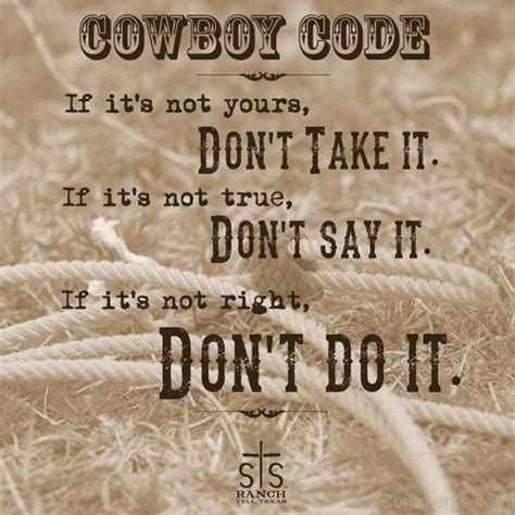 Python Cowboy Code 的图像结果