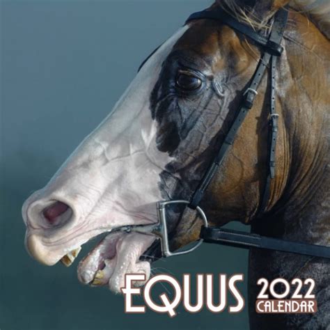 Buy Animal Equus 2022: Animals - Photo Equus - December 2022 OFFICIAL ...