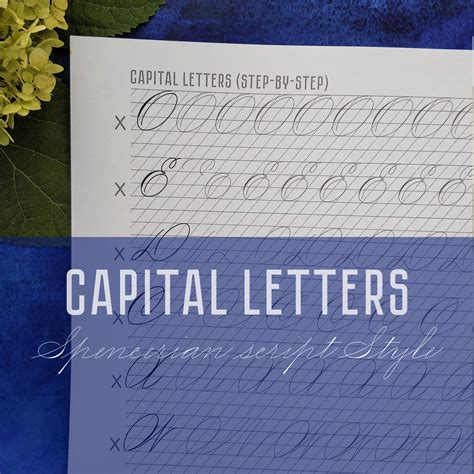 Image result for Spencerian Script Penmanship