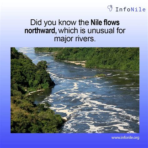 The Nile Delta, where the Nile Ricer meets the Mediterranean Sea, is ...