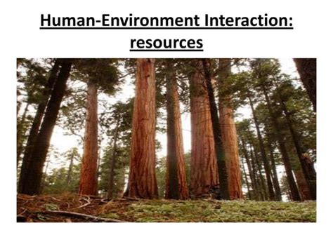 Image result for Human Environment Interaction Projects