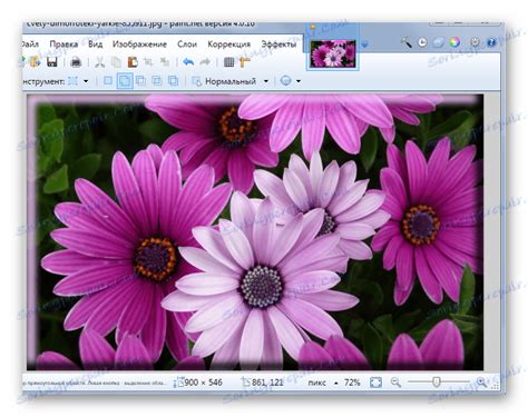 Paint.net Tools 的图像结果