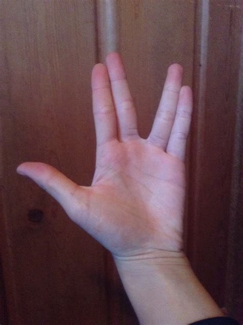 Snake Hand Tutorial 的图像结果