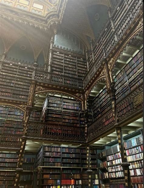 Library Aesthetic | Library architecture, Home library, Library aesthetic