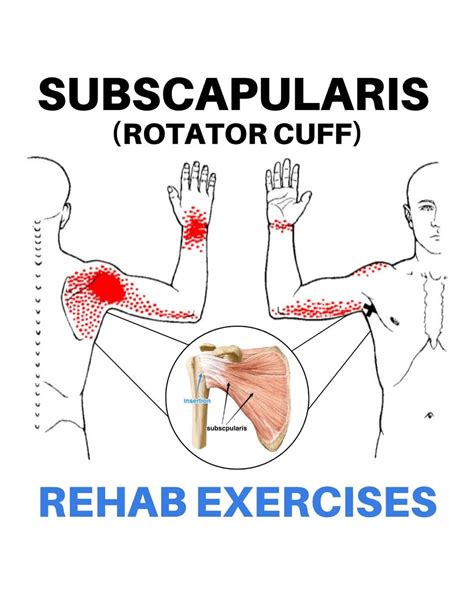 FisioTerapia🩻 | ⁉️Rotator Cuff Related Shoulder Pain? Try these ...