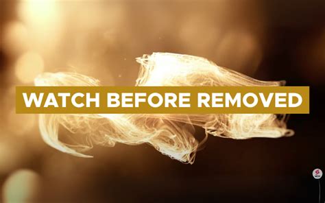 Image result for Unit Hydrograph Theory